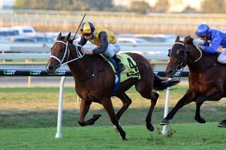 Mackintosh winning the G3 Grand Prix Stakes. Photo courtesy of Equine Images